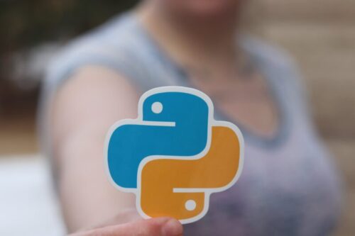 person holding an orange and blue python sticker