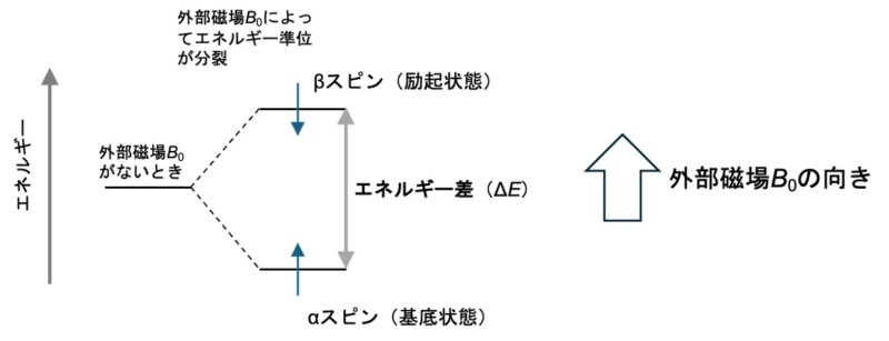 画像に alt 属性が指定されていません。ファイル名: %E3%82%BC%E3%83%BC%E3%83%9E%E3%83%B3%E5%88%86%E8%A3%82_1.jpg